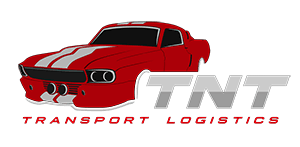 TNT Transport Logistics Logo